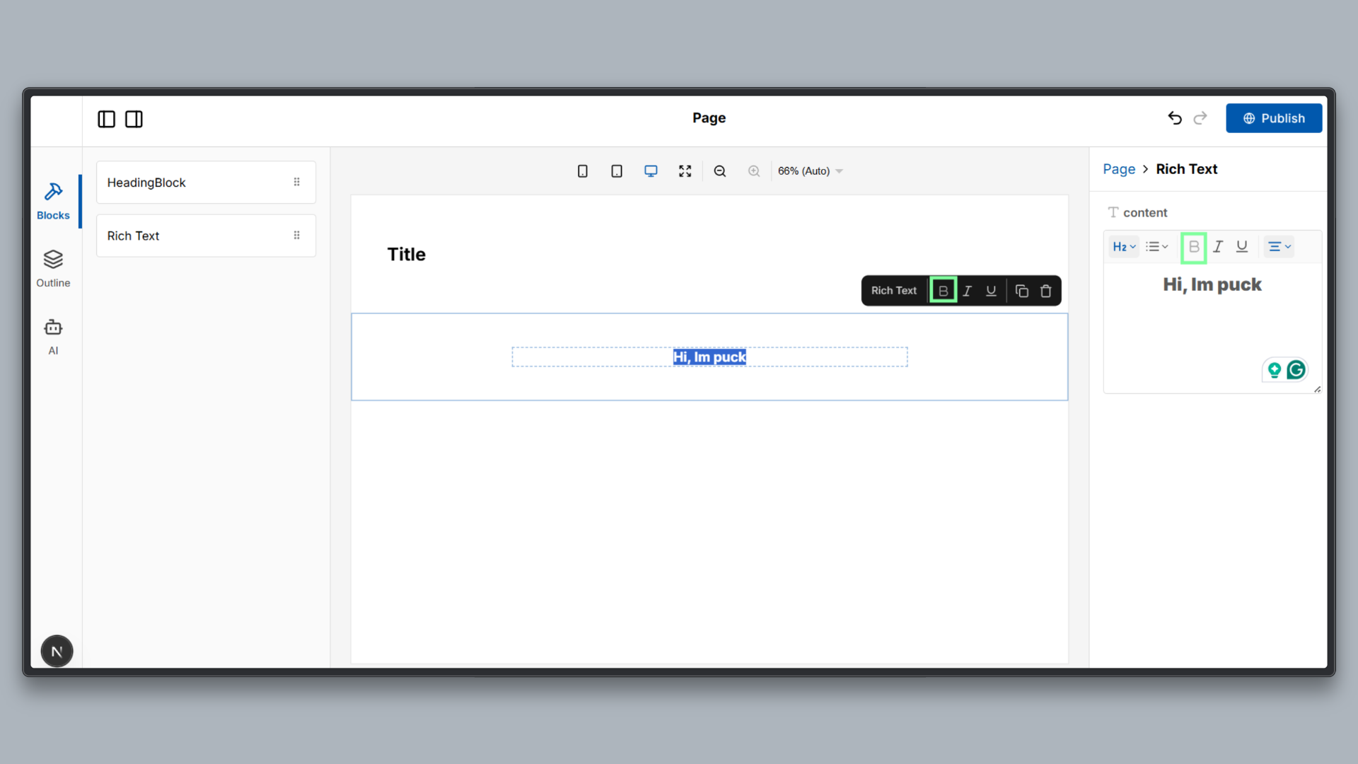 Basic Puck editor interface showing the bold control disabled