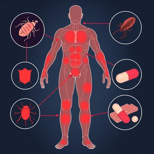Чесотка: симптомы, лечение и профилактика
