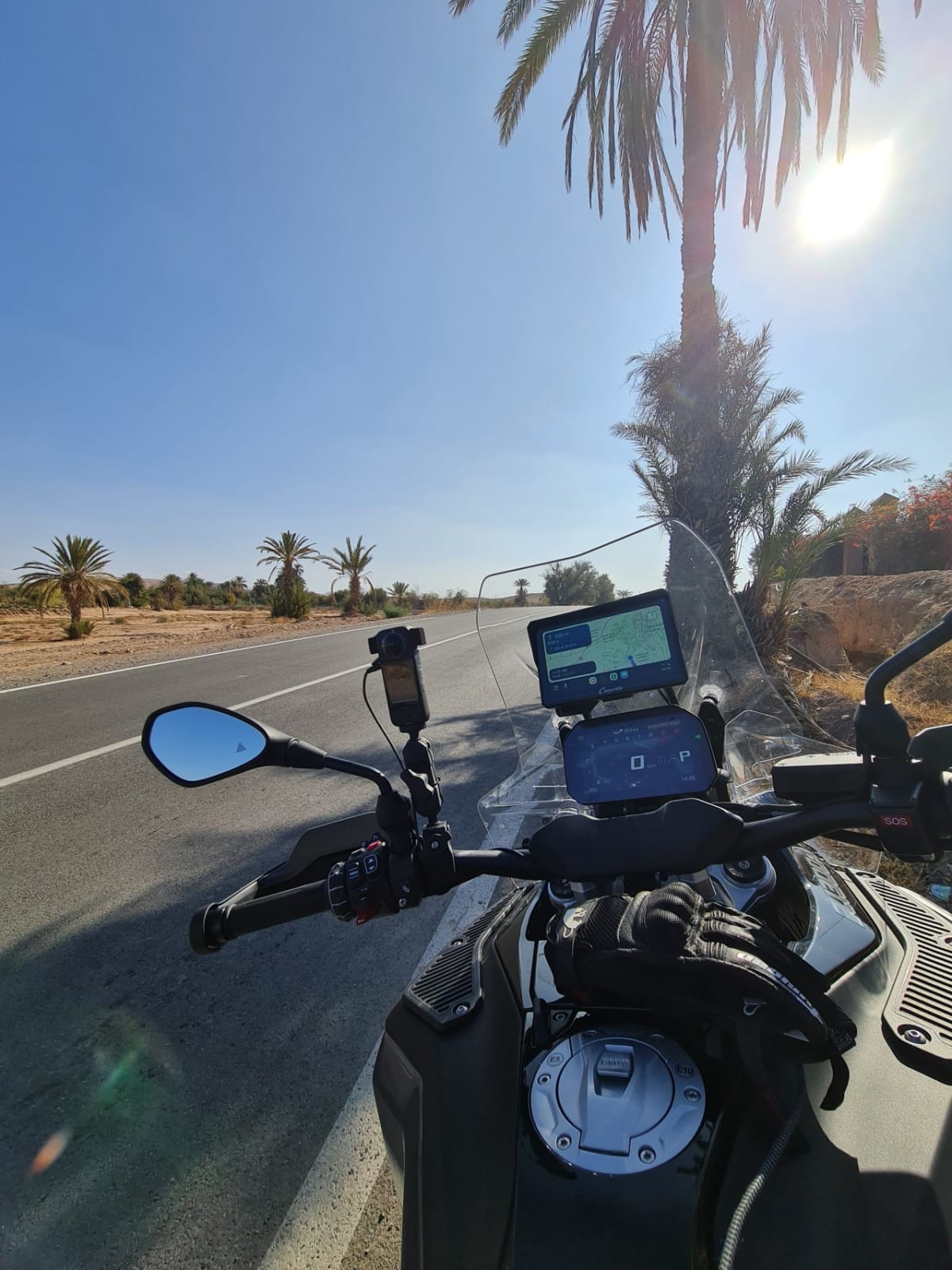 Vue depuis le cockpit — route désertique bordée de palmiers, plein soleil