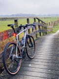 Grizl op een brug