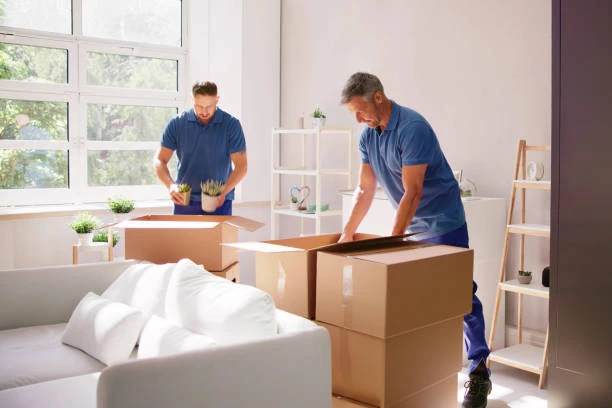 Packers Movers in Jakkasandra