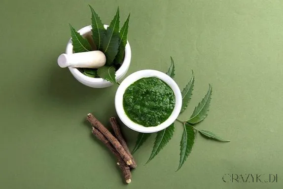 The Incredible Benefits of Neem for Skin: A Natural Skincare Superhero