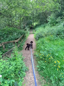 New Lount Nature Reserve