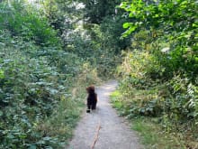 Snibston Country Park