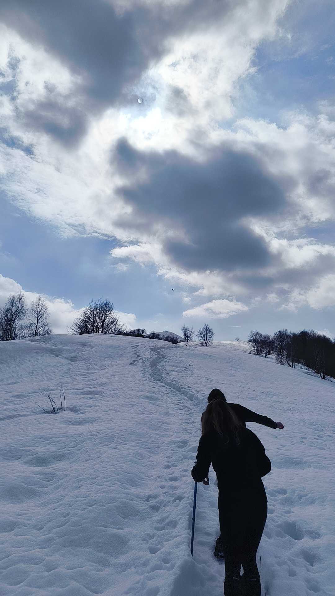 Foto n° 14 del trekking Bivacco del Gufo - Pizzo Pernice │ Alpe Curgei