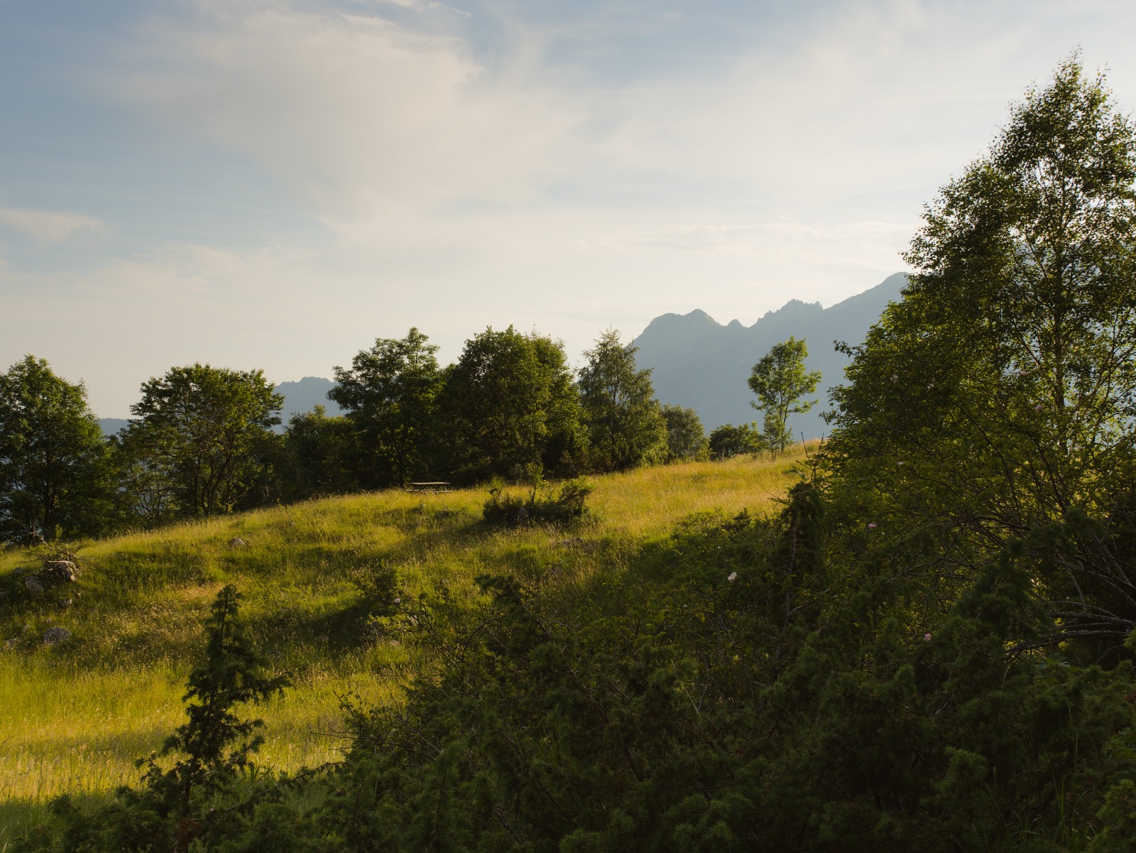 Foto n° 2 del trekking Cima Madonna dei Canti │ Fuipiano