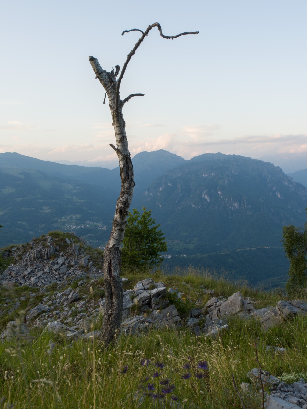 Foto n° 8 del trekking Cima Madonna dei Canti │ Fuipiano