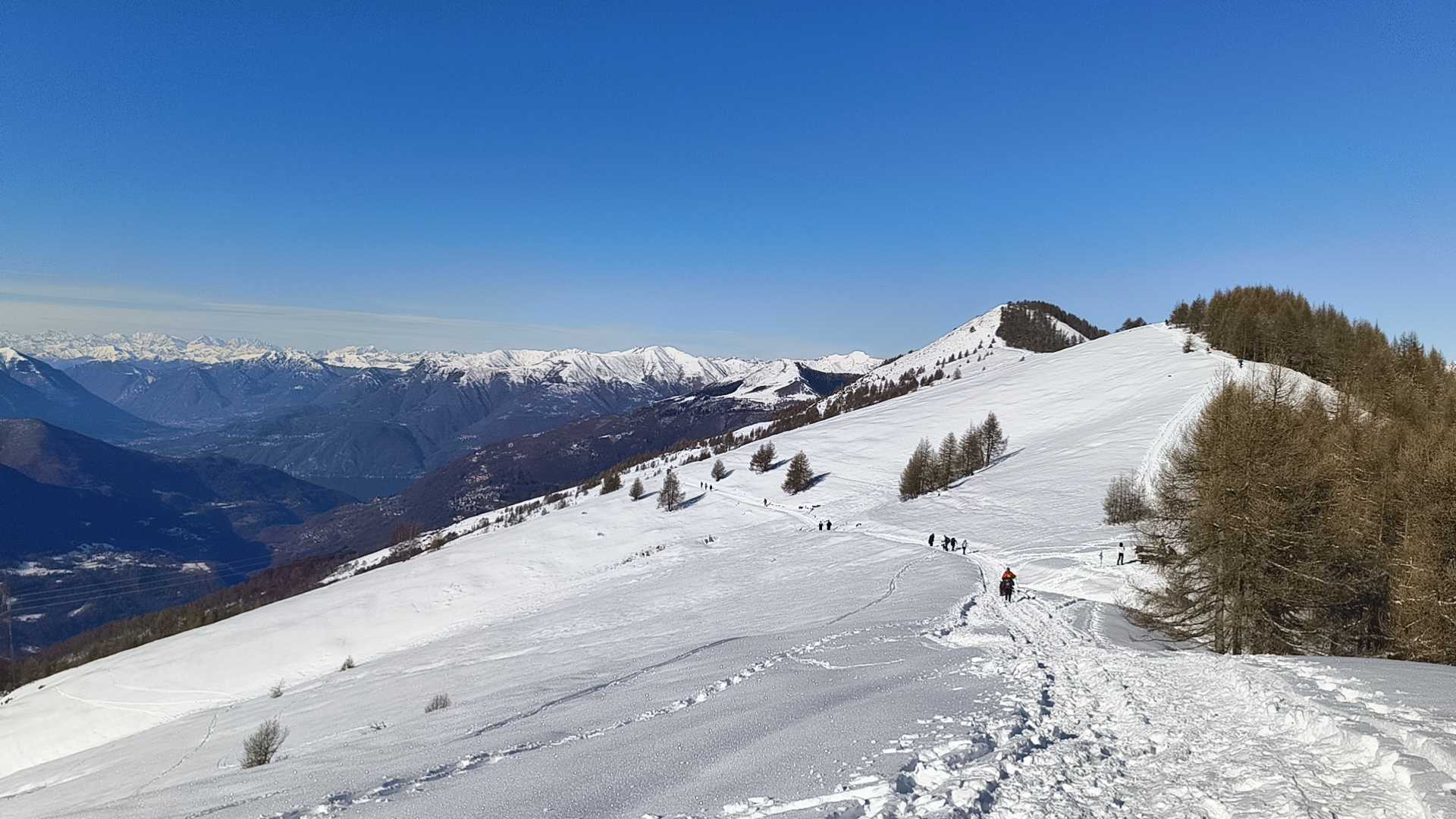 Foto n° 23 del trekking Cimone di Margno