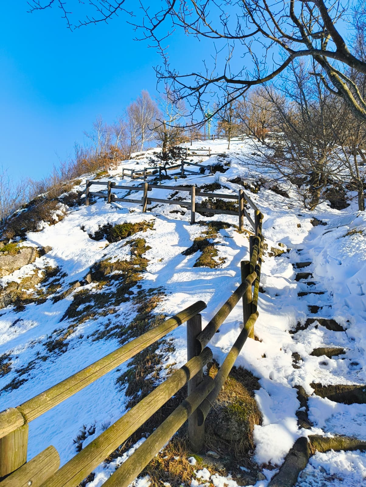 Foto n° 1 del trekking Monte Barro Innevato