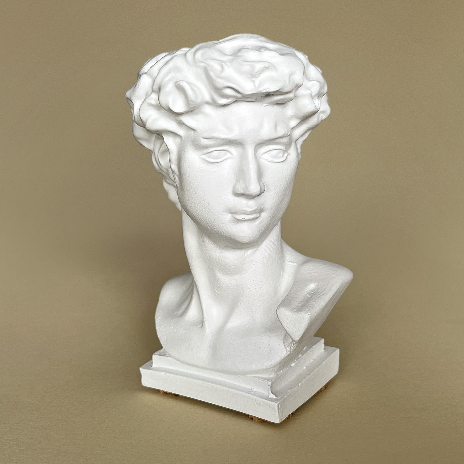 Кашпо Бюст Давида з Гіпсу