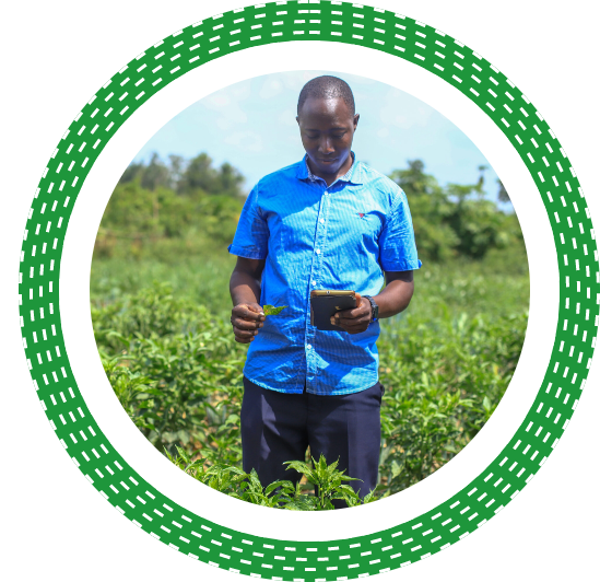 man standing in farm