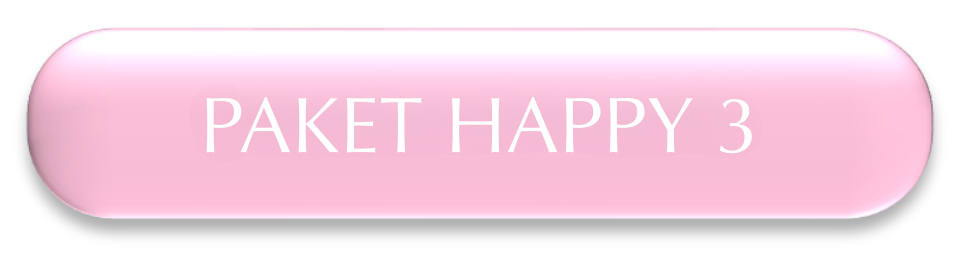 PAKET HAPPY 3