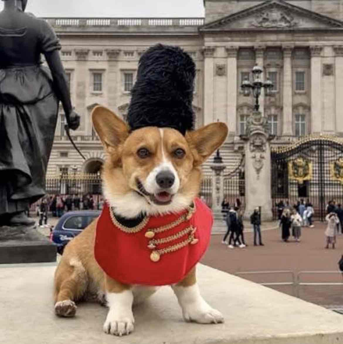 Dogs Parents of London 🐾✨