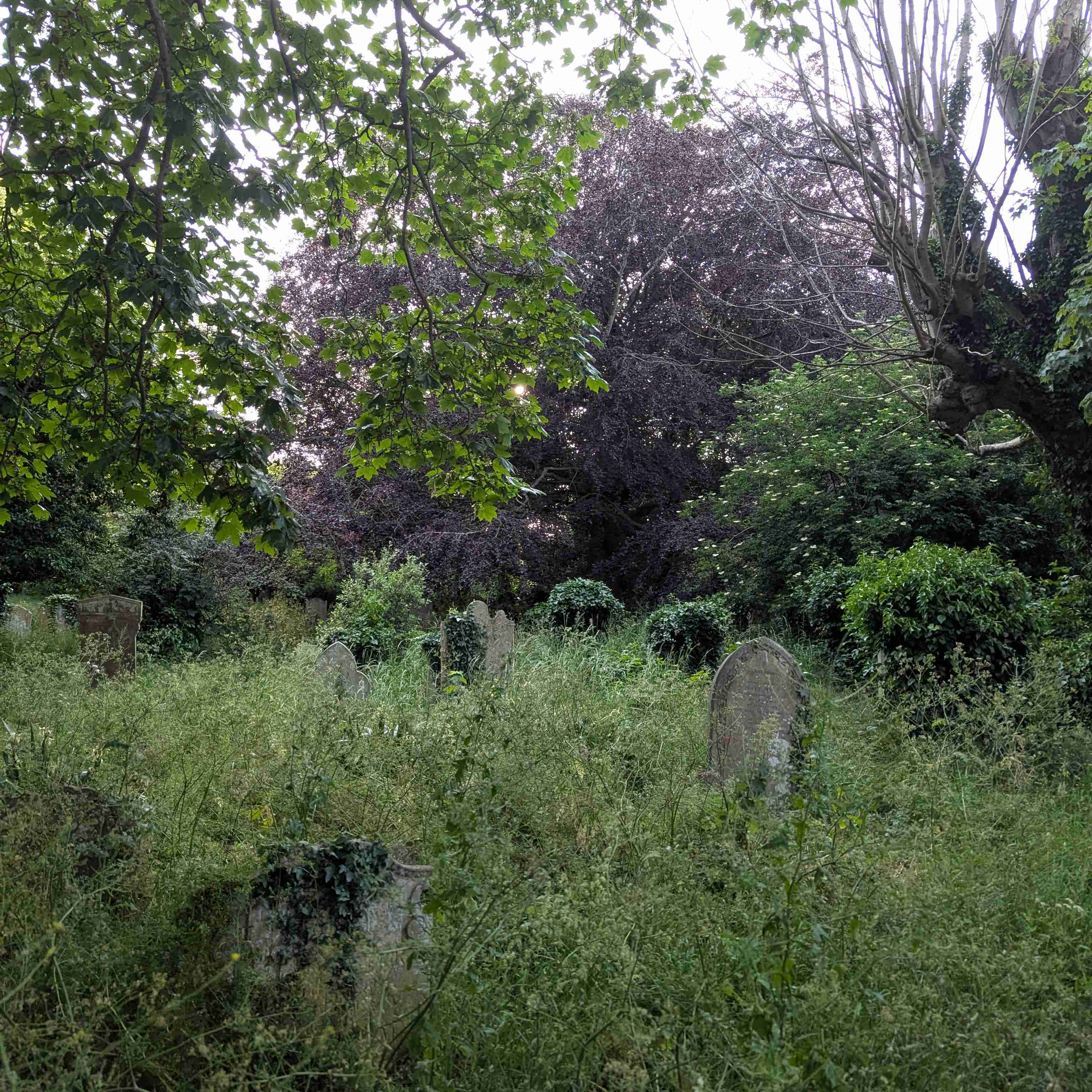Holland Park Walk and Talk event image