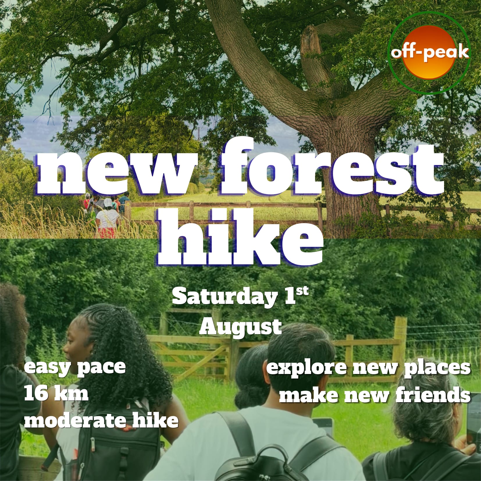 New Forest Hike event image