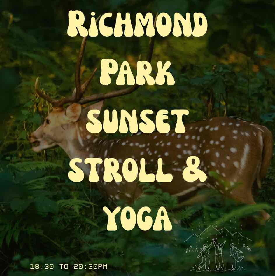 Richmond Park sunset stroll & yoga event image