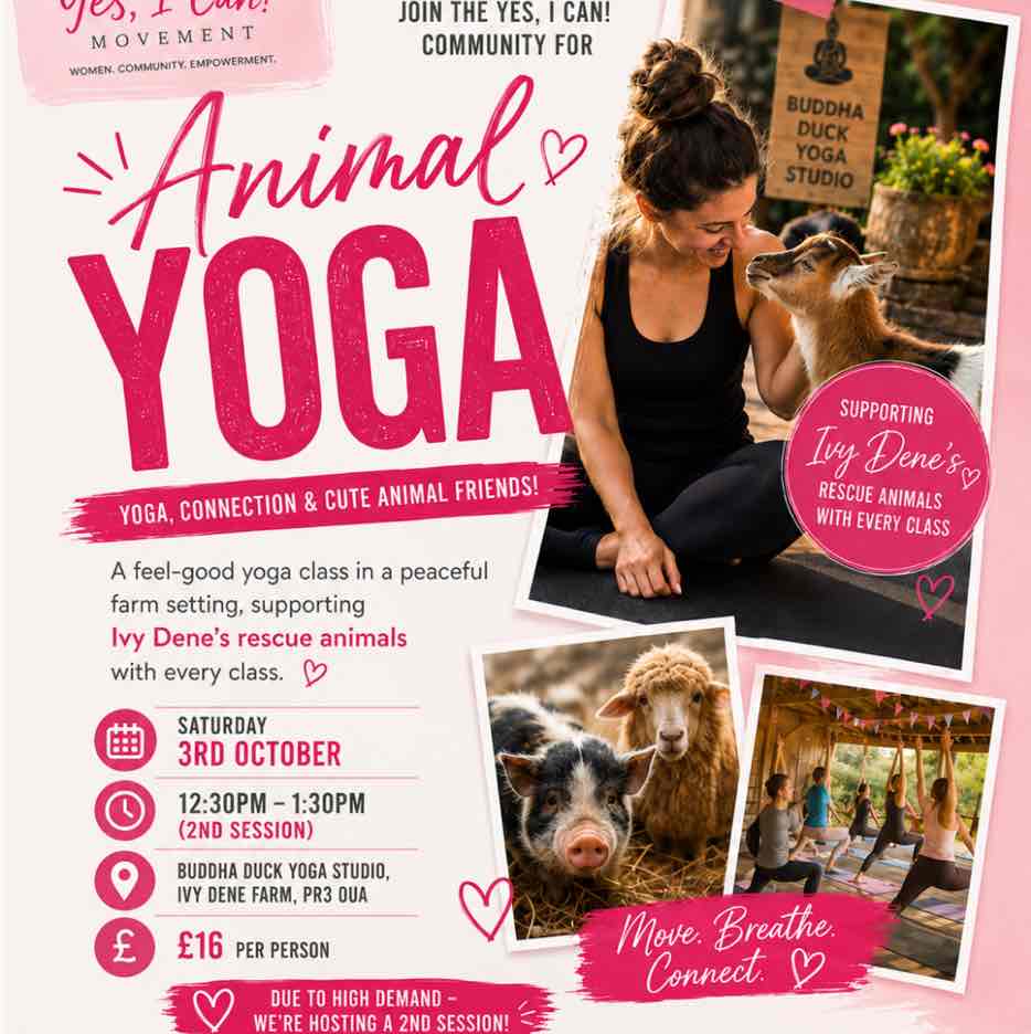 Animal Yoga 2