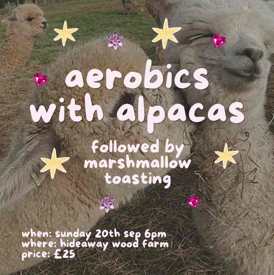 aerobics with alpacas 🦙