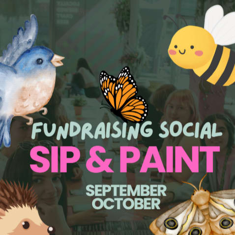 🎨 Fundraising Sip & Paint for Nature- Blackpool