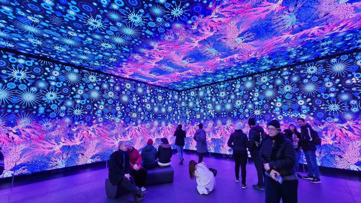 Outernet Immersive Experience Digital Show 💫