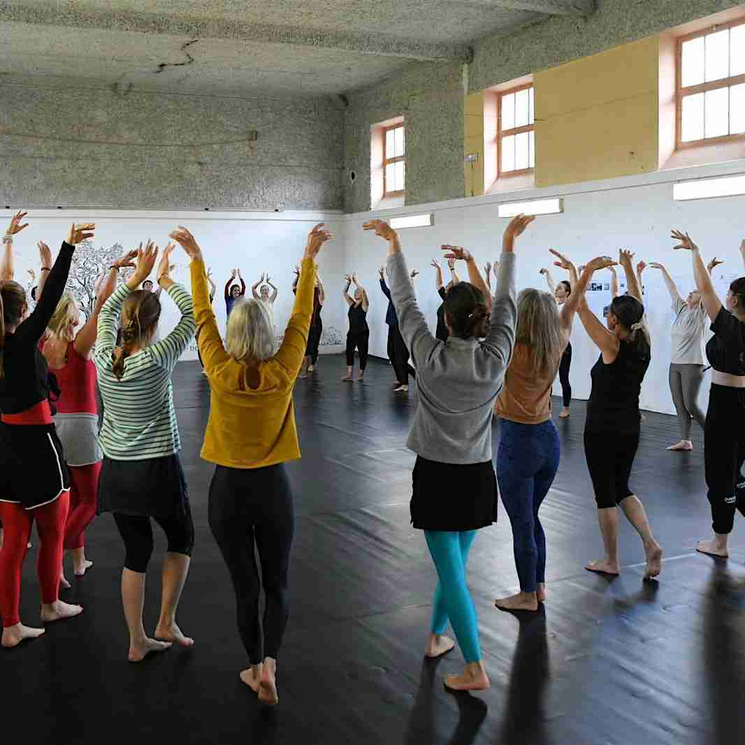 Beginners Chantraine Dance Class for Adults