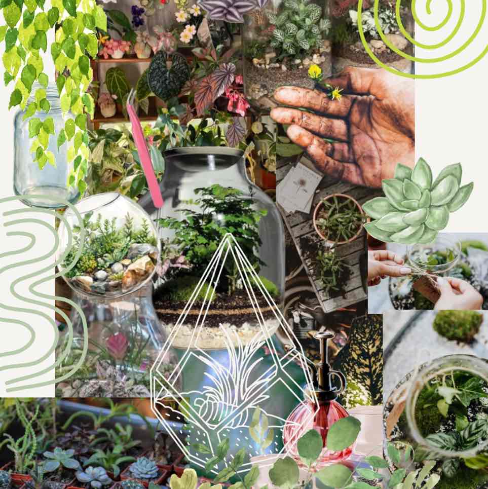 P&P Terrarium workshop