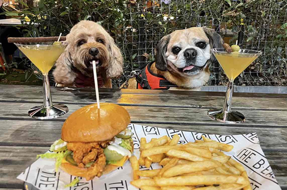 Dog friendly London pub crawl!