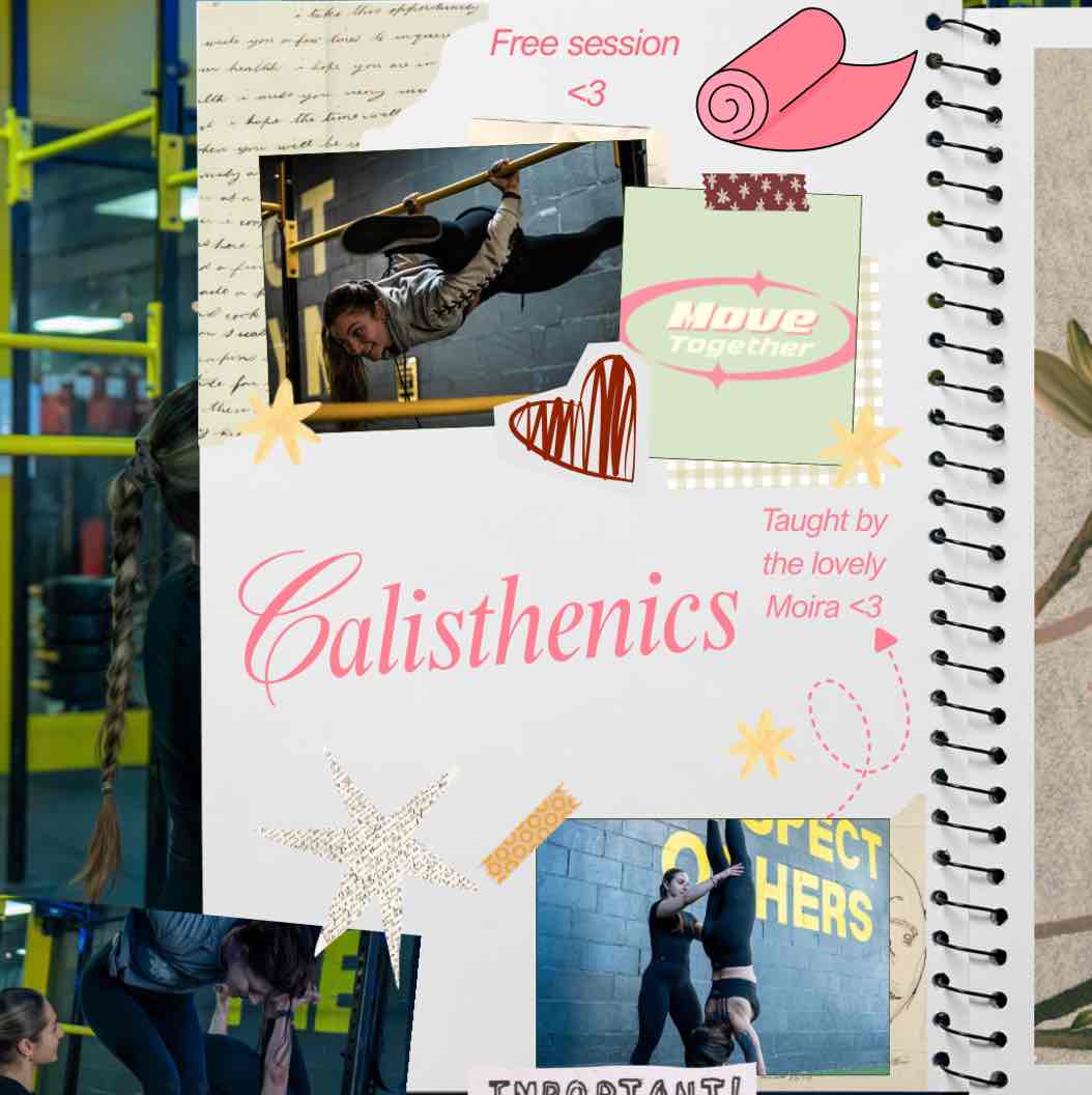 Free calisthenics class!