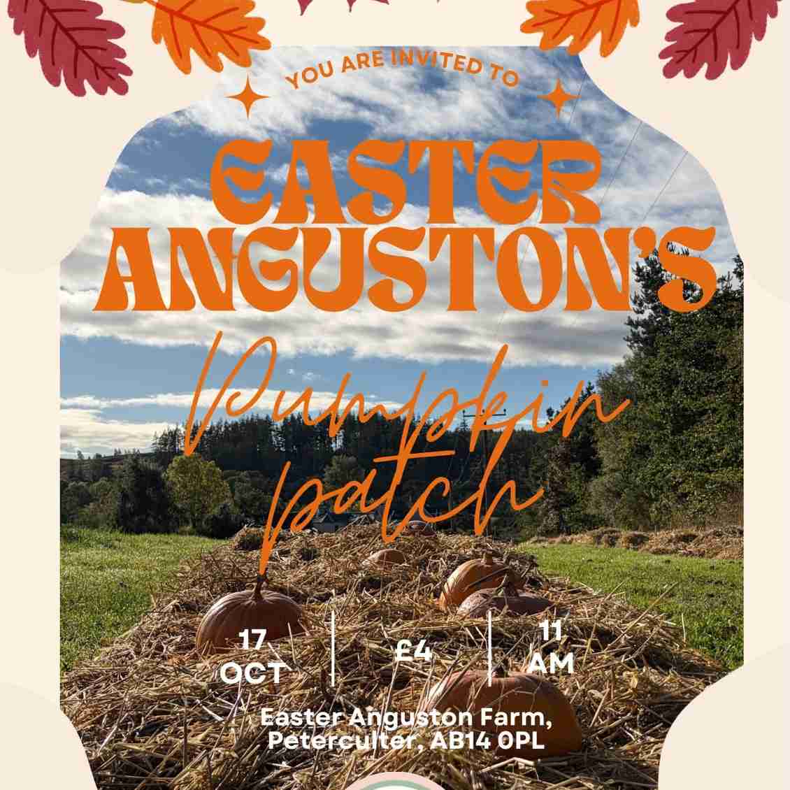 Easter Angustons Pumpkin Patch