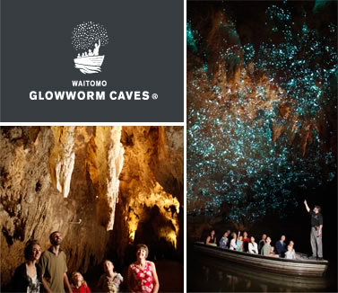 from www.waitomo.com