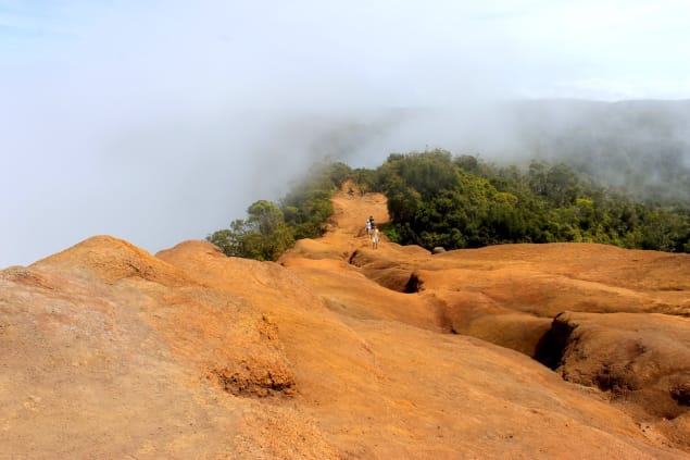 Pihea Trail, Kauai