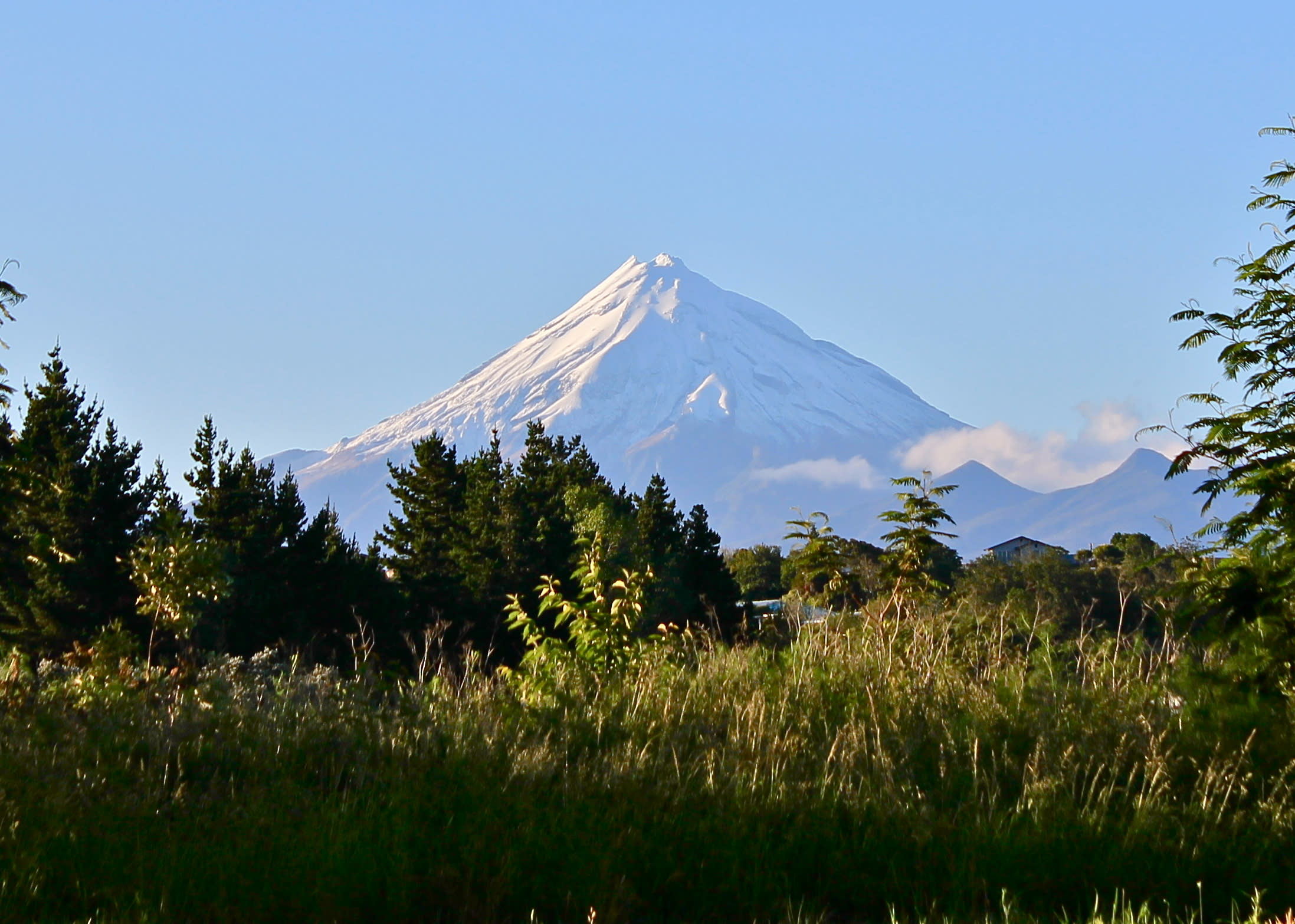 taranaki IMG_5516
