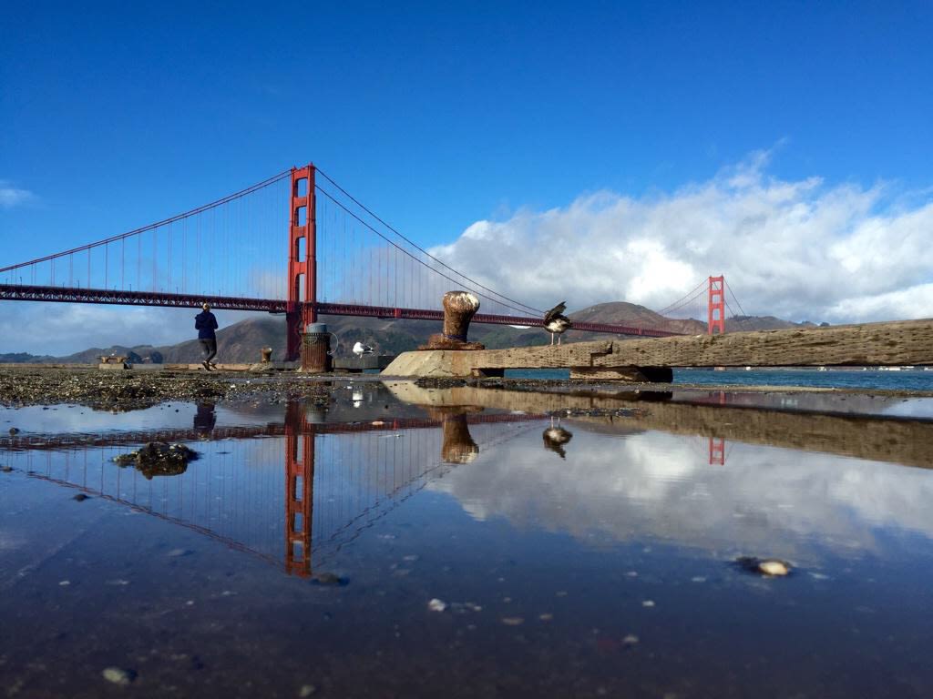 Golden Gate Bridge Reflection