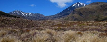 Tongariro Crossing Hike