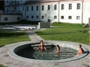 polla-terme.jpg