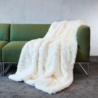 Awassi white by carma
