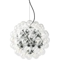 Taraxacum 88 S1 von flos