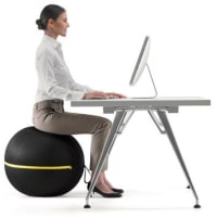 Wellness Ball™ by technogym