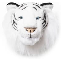 Albert von Wild & Soft