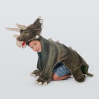dinosaur by Wild & Soft