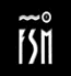 fsm