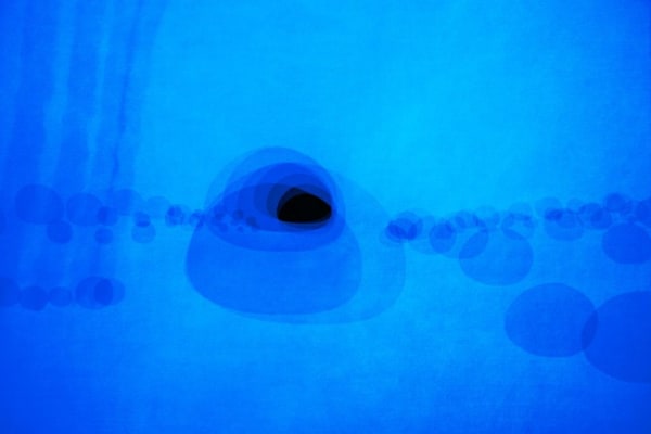 Homage to Miro