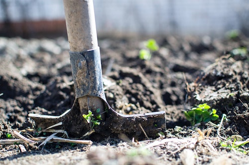 Shovel stuck in the dirt in a garden