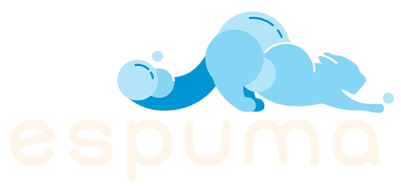 Espuma Limpieza Profesional