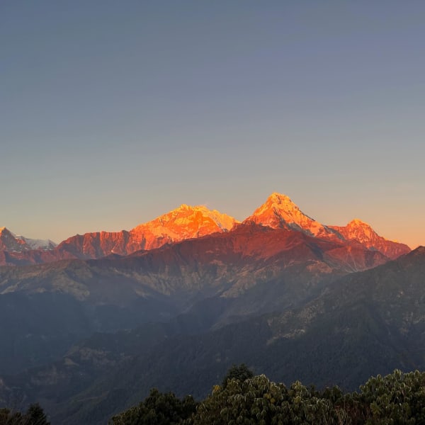 Rajan P.'s photo