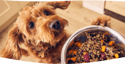 Goodos dog food new arrivals