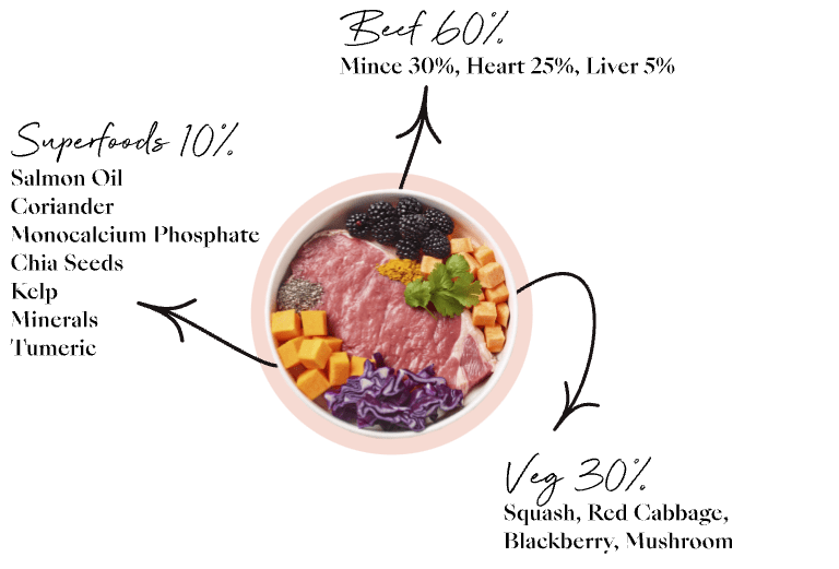 Hearty Beef Berries Different Dog