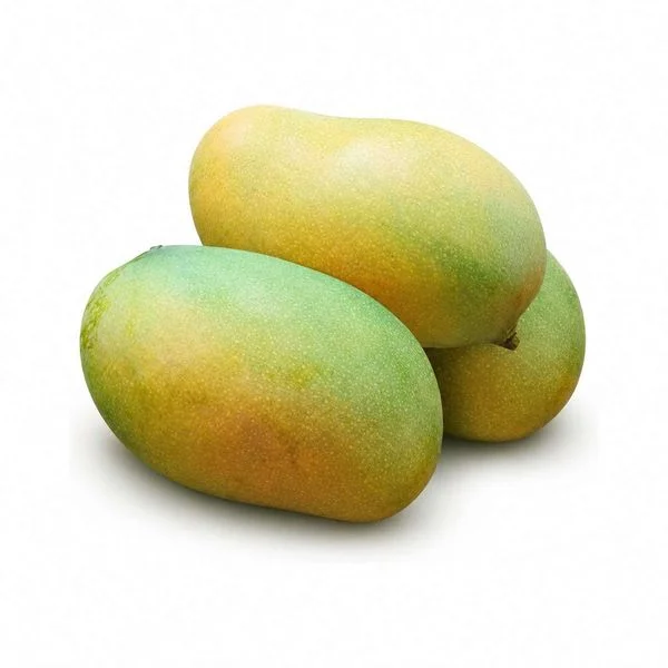রহিমা বেগম
