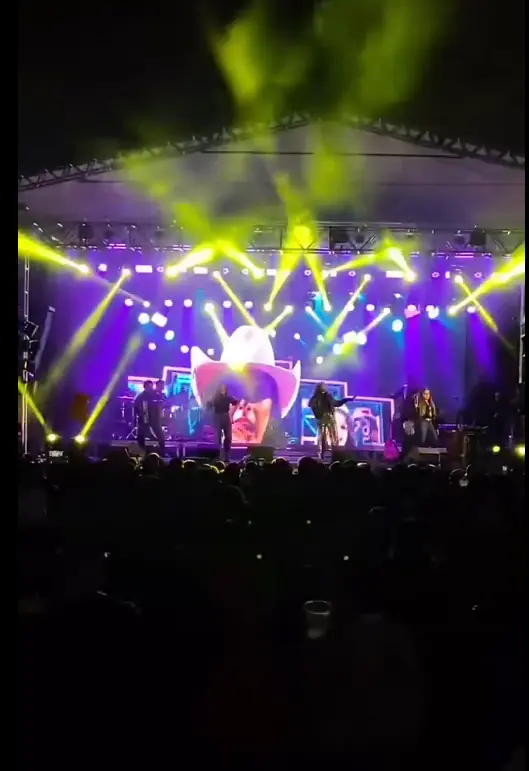 Palco - foto 13