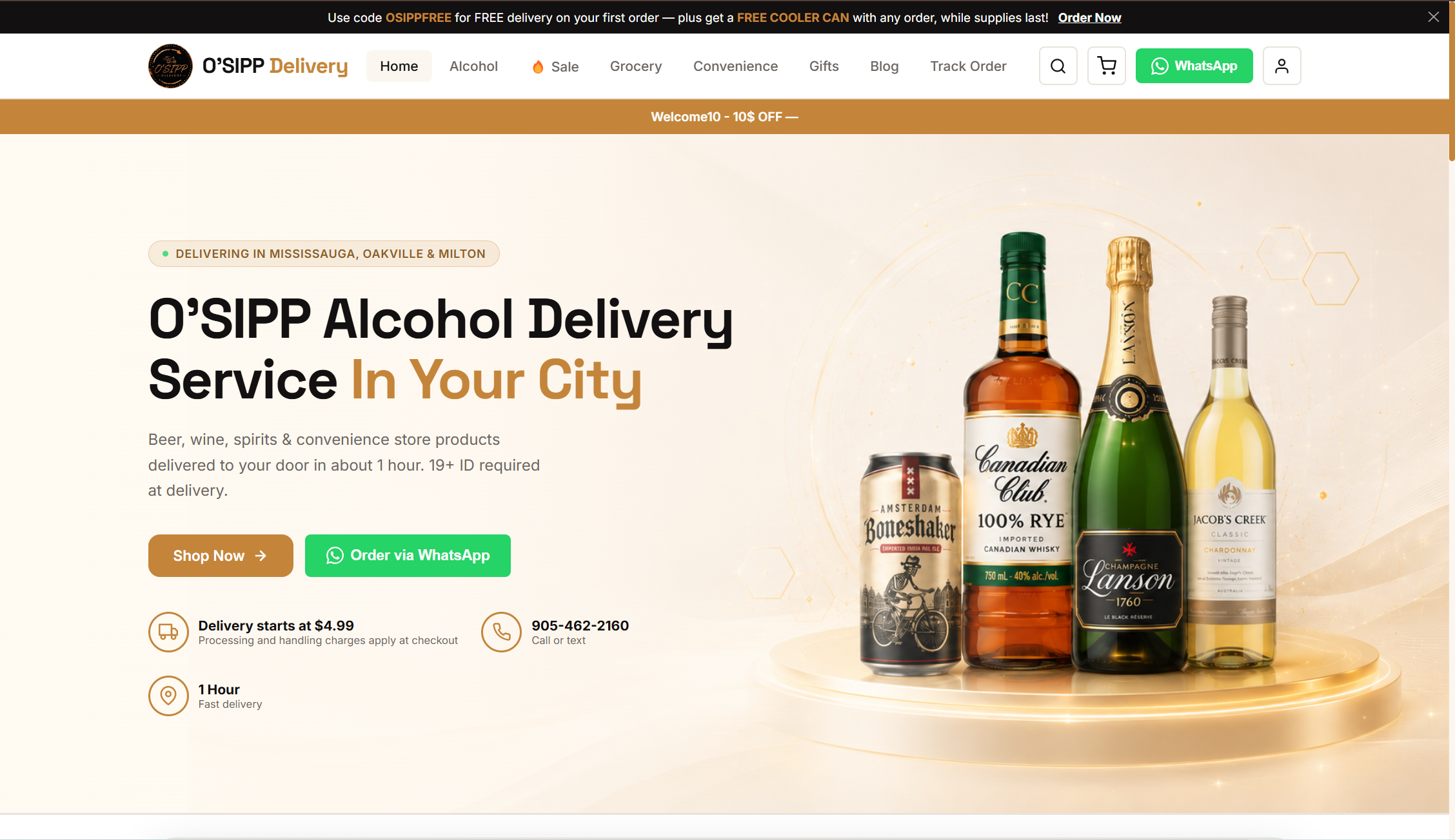 Website design for Osipp Delivery by BizzOne Digital